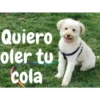 Quiero
oler tu
cola