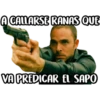 Cártel de Sapos 23