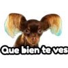 Que bien te ves