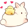 Soft and Cute Rabbits 19