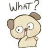Cute Dog 14