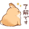 Soft and Cute Rabbits 20
