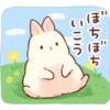 Soft and Cute Rabbits 24