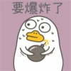 Duck 2 20