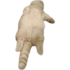 cats 27