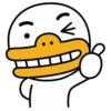 Hello KakaoFriends 21