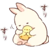 Soft and Cute Rabbits 26