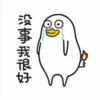 Duck 2 22