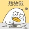 Duck 2 24