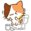 cokki