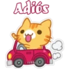 Adiós
D
cokki