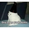 nose 28