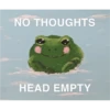 NO THOUGHTS
HEAD EMPTY