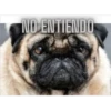 NO ENTIENDO