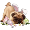 PASCUA 30