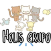 W
VN
HOLIS GRUPO