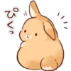 Soft and Cute Rabbits 28