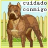 Perros 28
