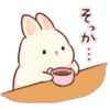 Soft and Cute Rabbits 30