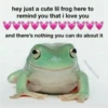 hey just a cute lil frog here to
remind you that i love you
and there's nothing you can do about it
@frogoclock