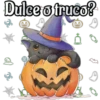 Dulce o truco?
O