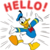HELLO!