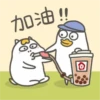 Duck 2 29