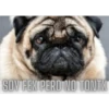 SOY FEX PERO NO TONTX