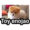 Toy enojao