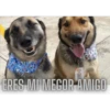 ERES MI MECOR AMIGO