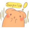 Surprise
2