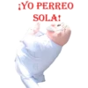 YO PERREO
SOLA!