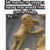 Chipa 6
