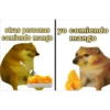 pepe y + 6