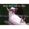 Bitch don't kill my vibe