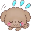 Hello, Choco 7