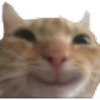 Pepe Stickers 5