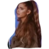 Ariana bebe 9