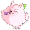 Pomeranian Princess 5