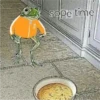 frög 8