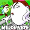 MEJOR VETE