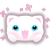 White kitty 11