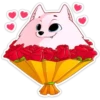 Pomeranian Princess 6
