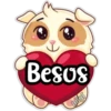 Besos
jeju