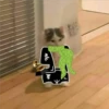 pepe y + 14