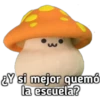 ¿Y si mejor quemó
la escuela?