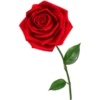 LetrasChidas 9