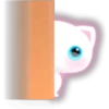 White kitty 13