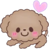 Hello, Choco 10