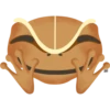 Coquímoji 13